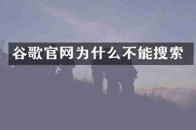 谷歌官网为什么不能搜索