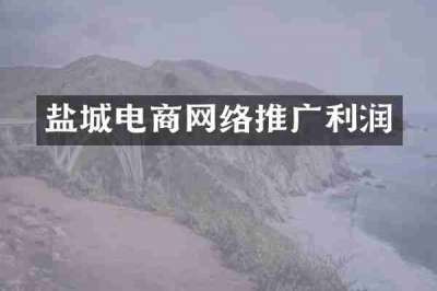 盐城电商网络推广利润
