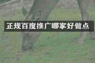 正规百度推广哪家好做点