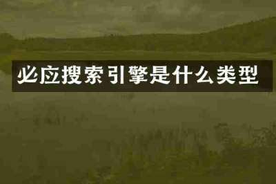 必应搜索引擎是什么类型