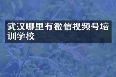 武汉哪里有微信视频号培训学校