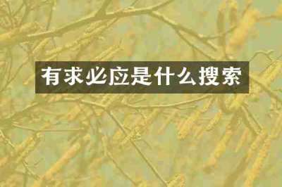 有求必应是什么搜索