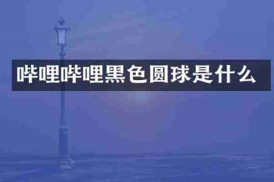 哔哩哔哩黑色圆球是什么
