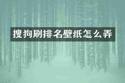 搜狗刷排名壁纸怎么弄