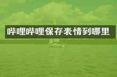 哔哩哔哩保存表情到哪里