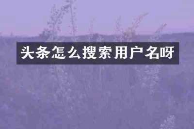 头条怎么搜索用户名呀