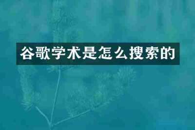 谷歌学术是怎么搜索的