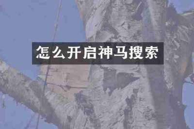 怎么开启神马搜索