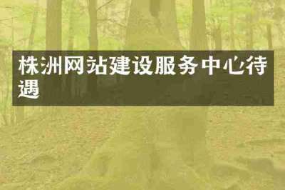 株洲网站建设服务中心待遇