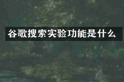 谷歌搜索实验功能是什么