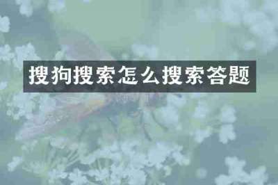 搜狗搜索怎么搜索答题