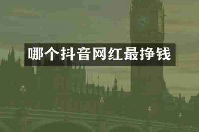 哪个抖音网红最挣钱