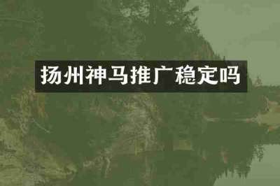 扬州神马推广稳定吗