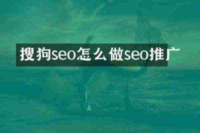 搜狗seo怎么做seo推广