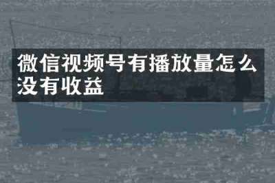 微信视频号有播放量怎么没有收益