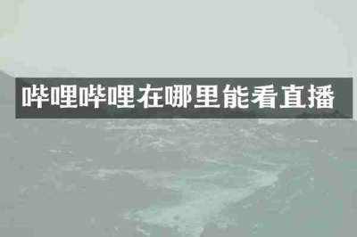 哔哩哔哩在哪里能看直播