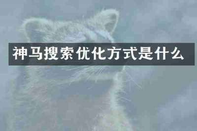 神马搜索优化方式是什么