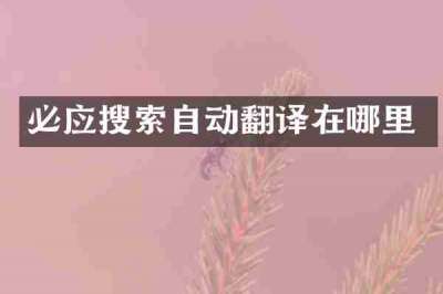 必应搜索自动翻译在哪里