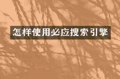 怎样使用必应搜索引擎