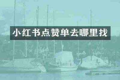 小红书点赞单去哪里找