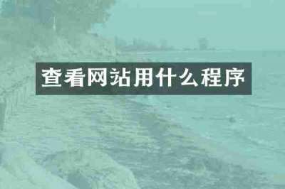 查看网站用什么程序
