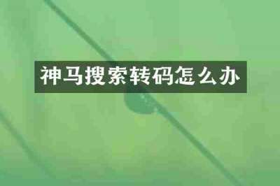 神马搜索转码怎么办