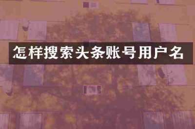 怎样搜索头条账号用户名