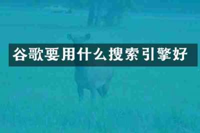 谷歌要用什么搜索引擎好