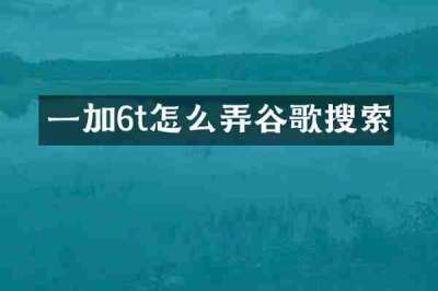 一加6t怎么弄谷歌搜索