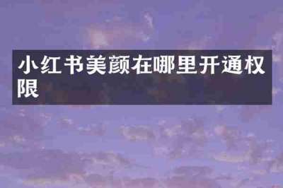 小红书美颜在哪里开通权限
