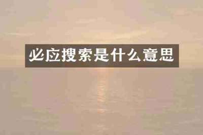 必应搜索是什么意思