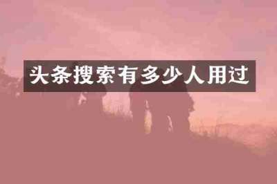 头条搜索有多少人用过