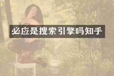必应是搜索引擎吗知乎