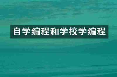 自学编程和学校学编程