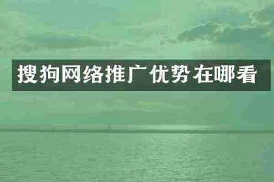 搜狗网络推广优势在哪看