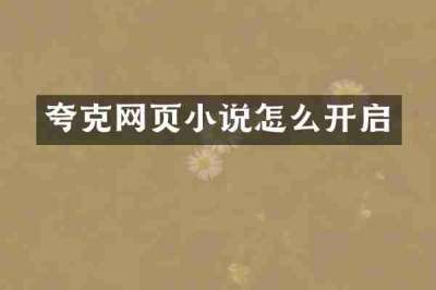 夸克网页小说怎么开启