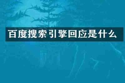 百度搜索引擎回应是什么