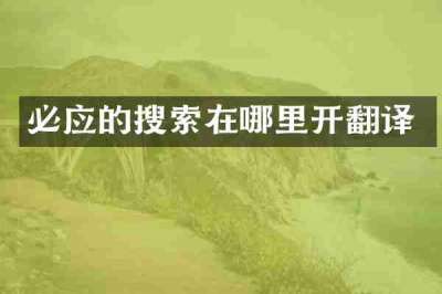 必应的搜索在哪里开翻译