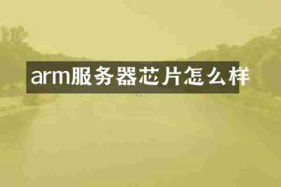 arm服务器芯片怎么样