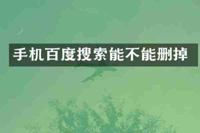 手机百度搜索能不能删掉