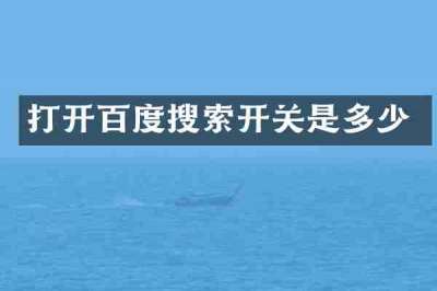 打开百度搜索开关是多少
