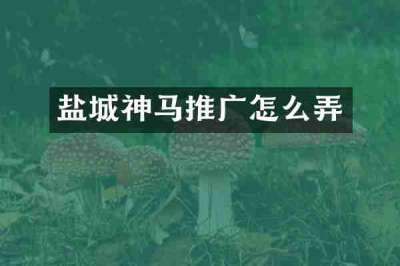盐城神马推广怎么弄