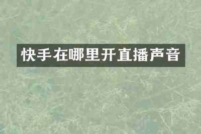 快手在哪里开直播声音