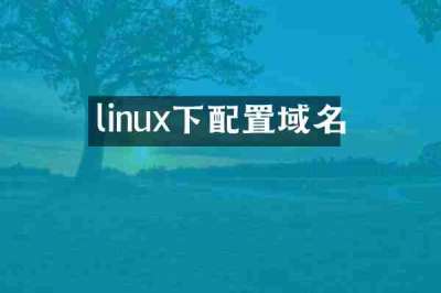 linux下配置域名