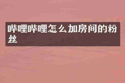 哔哩哔哩怎么加房间的粉丝