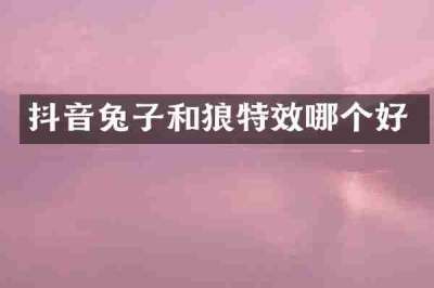 抖音兔子和狼特效哪个好
