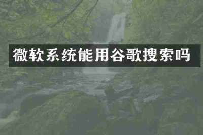 微软系统能用谷歌搜索吗