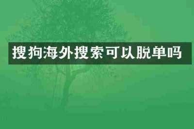 搜狗海外搜索可以脱单吗