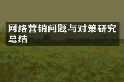 网络营销问题与对策研究总结