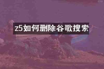 z5如何删除谷歌搜索